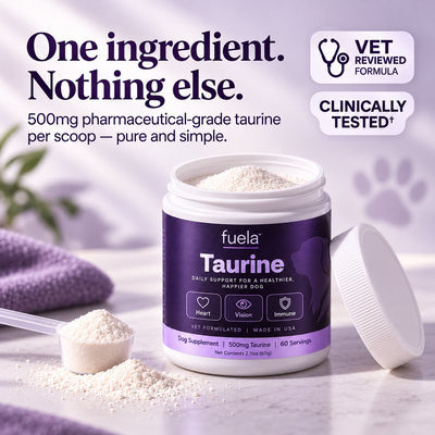 Fuela Taurine