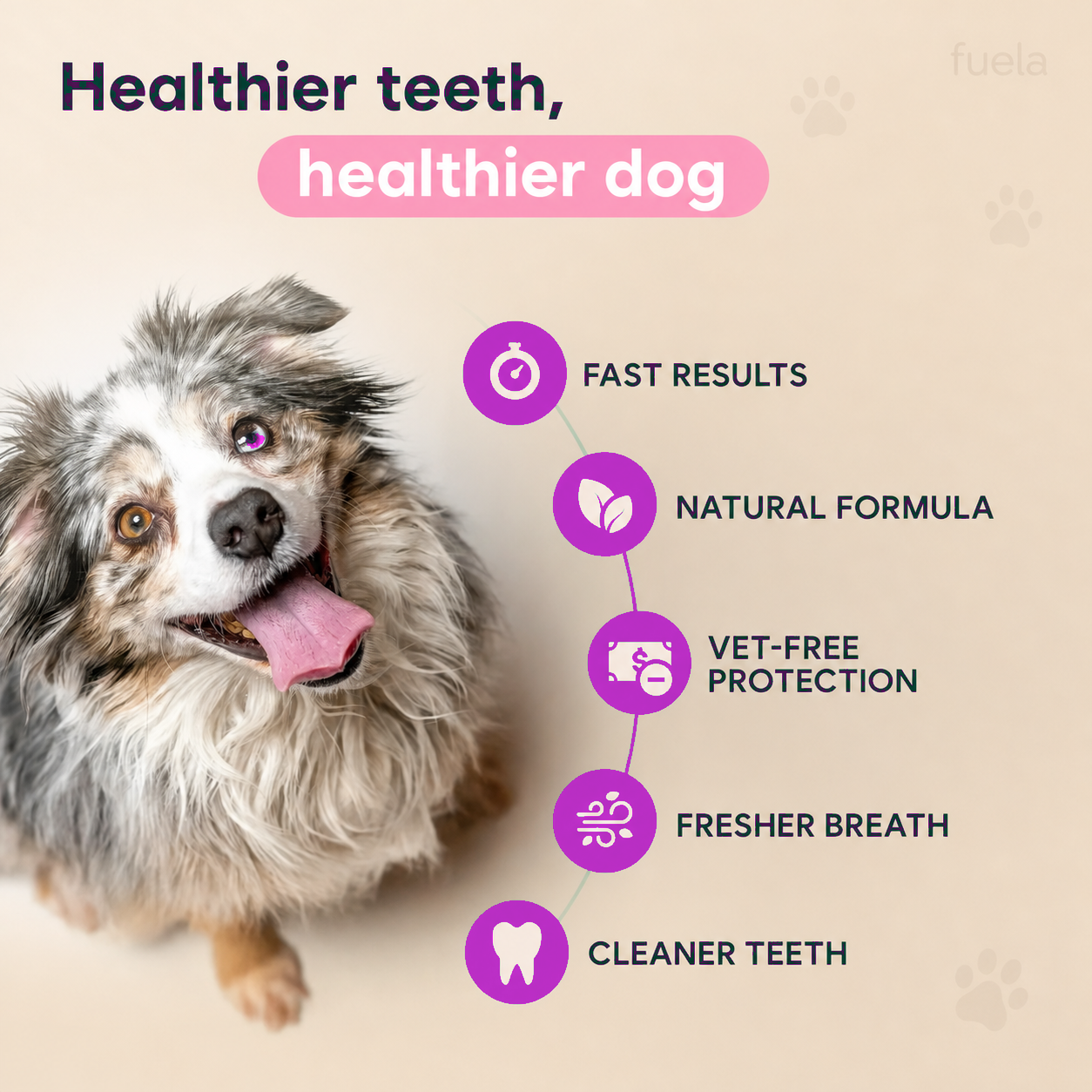 DentaCare - Dogs/Cats