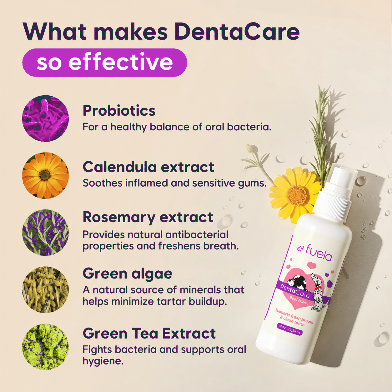 DentaCare - Dogs/Cats